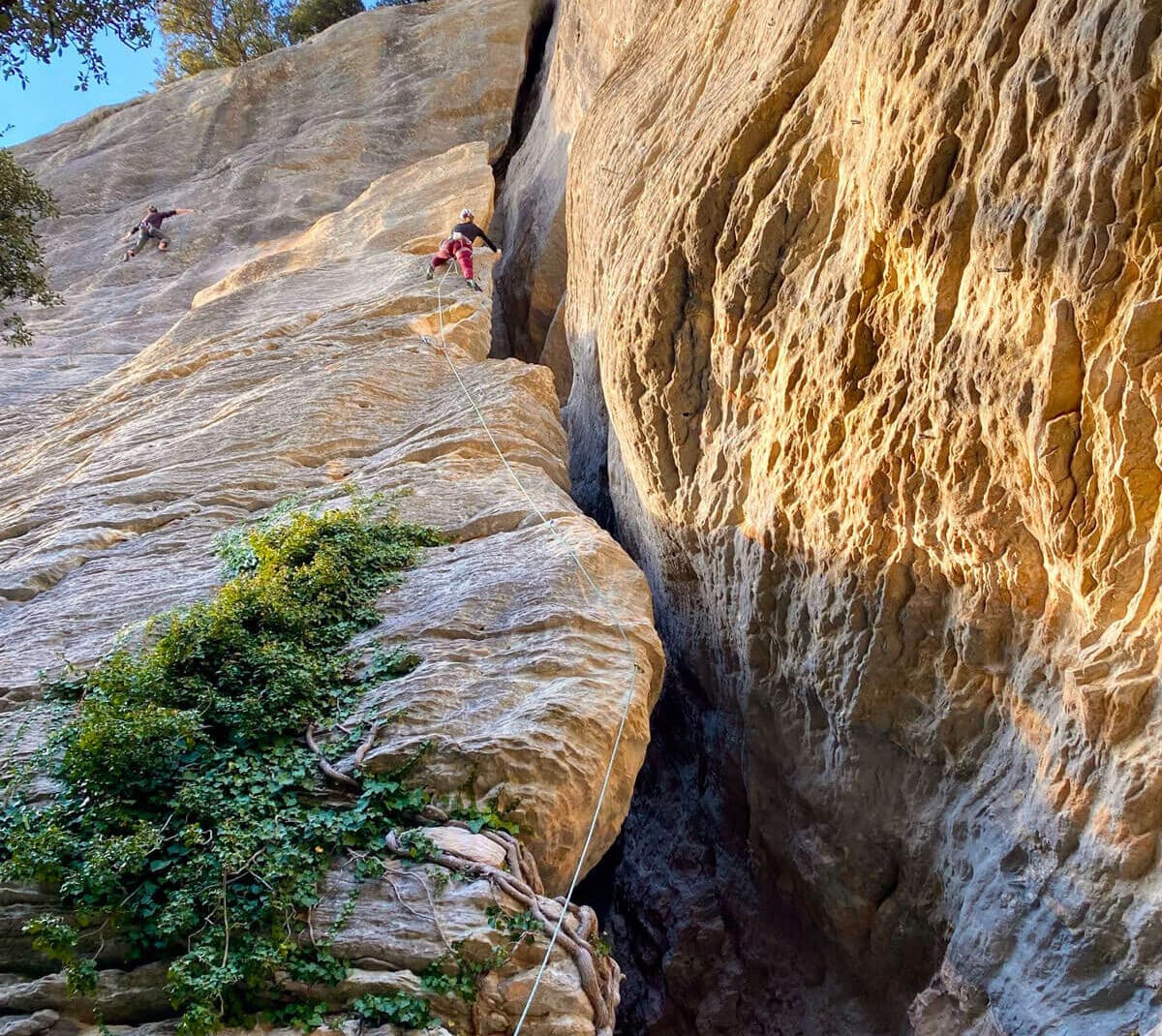 Femmes en cycle Escalade Sportive dans le sud de la France
